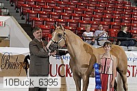 10buck_6395 proof