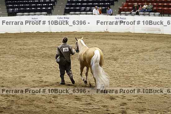 Proof 10buck_6396