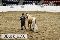 10buck_6396 proof