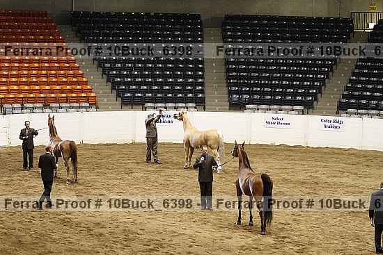 Proof 10buck_6398