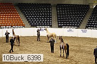 10buck_6398 proof