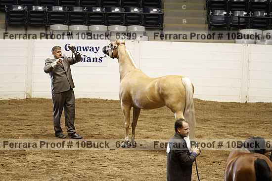 Proof 10buck_6399
