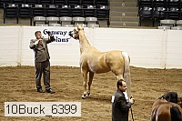 10buck_6399 proof
