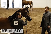 10buck_6400 proof
