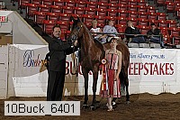 10buck_6401 proof