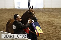 10buck_6402 proof
