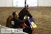 10buck_6403 proof