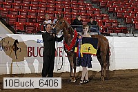 10buck_6406 proof