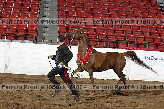 Proof 10buck_6407