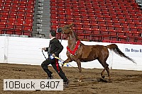 10buck_6407 proof