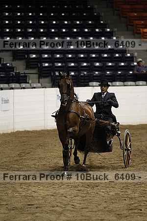 Proof 10buck_6409