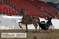 10buck_6410 proof