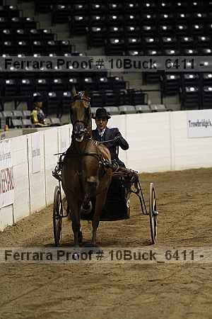 Proof 10buck_6411