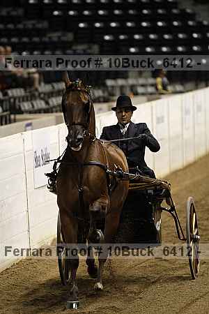 Proof 10buck_6412