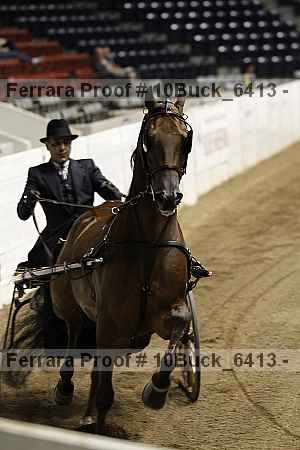 Proof 10buck_6413