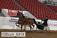 10buck_6414 proof