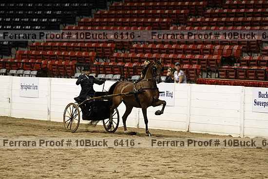 Proof 10buck_6416