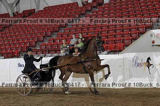 Proof 10buck_6417