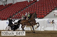 10buck_6417 proof