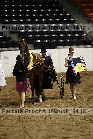 Proof 10buck_6418