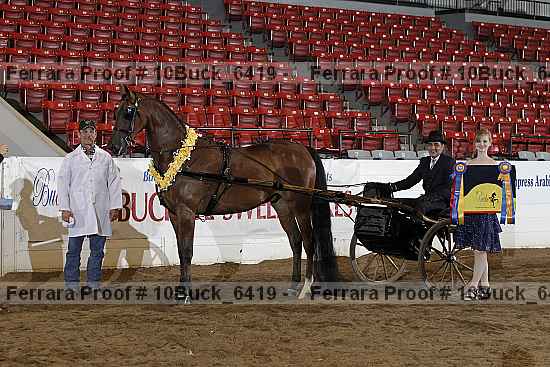 Proof 10buck_6419