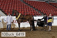 10buck_6419 proof
