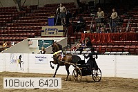 10buck_6420 proof