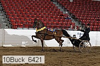 10buck_6421 proof