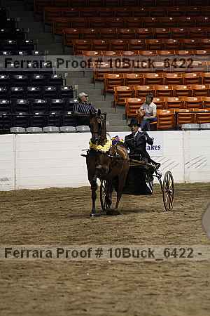 Proof 10buck_6422