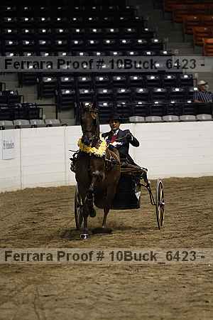 Proof 10buck_6423