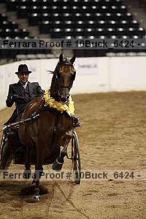 Proof 10buck_6424
