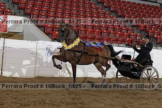 Proof 10buck_6425