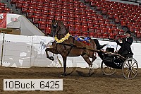 10buck_6425 proof