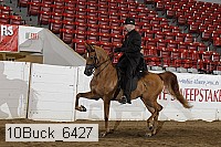 10buck_6427 proof