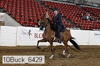 10buck_6429 proof