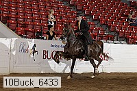 10buck_6433 proof