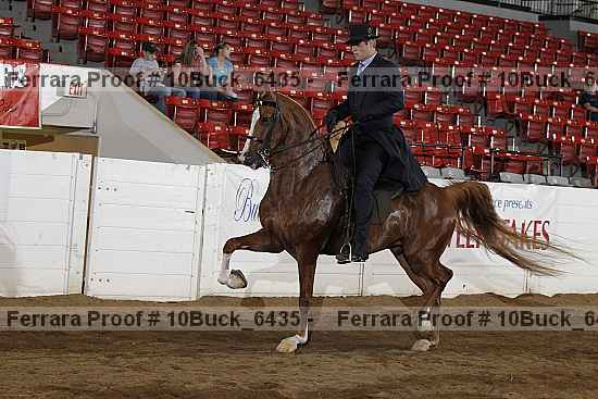 Proof 10buck_6435