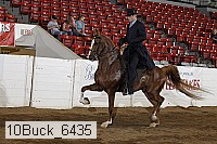 10buck_6435 proof
