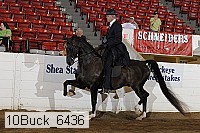 10buck_6436 proof