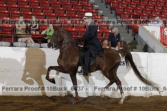 Proof 10buck_6437