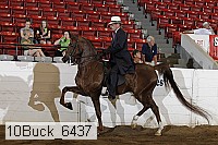 10buck_6437 proof