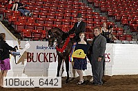 10buck_6442 proof