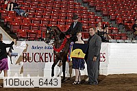 10buck_6443 proof
