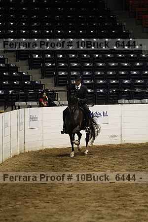 Proof 10buck_6444