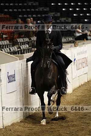 Proof 10buck_6446