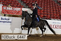 10buck_6447 proof