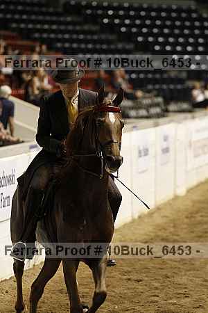 Proof 10buck_6453