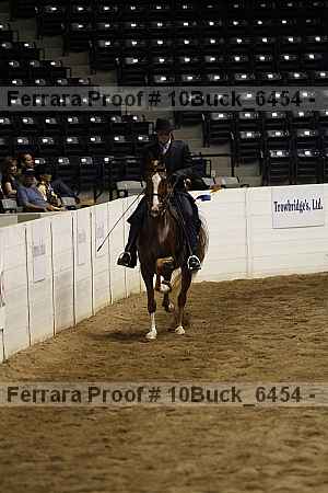 Proof 10buck_6454