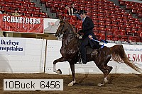10buck_6456 proof