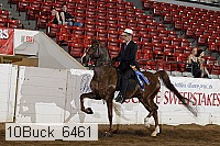 10buck_6461 proof